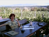 Balatonudvari-Fövenyes nur ca. 10 km entfernt von der Halbinsel Tihany - Blick von einem schönen Restaurant(Laci Pince Balatonudvari) mitten im Weinberg