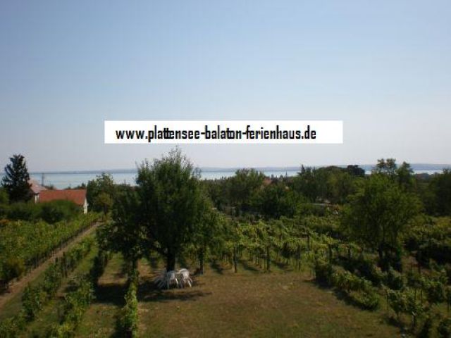 :  - Fewo Plattensee